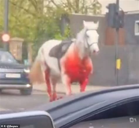 london horses rampage video
